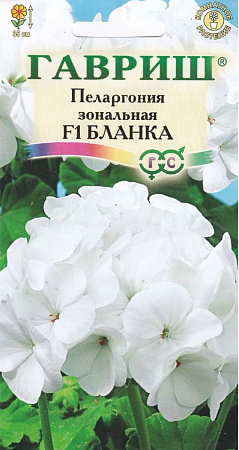 Семена пеларгонии Бланка
