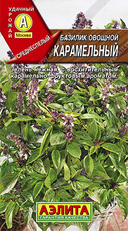 Семена базилика Карамельный зеленый /Аэлита