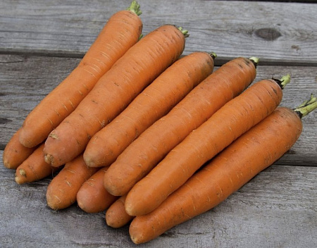 Семена моркови Берликум Роял белый пакет/Евро-Семена