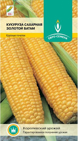 Семена кукурузы Золотой Батам