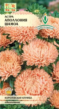 Семена астры Аполлония Шамоа  0,1г/Евро-Семена