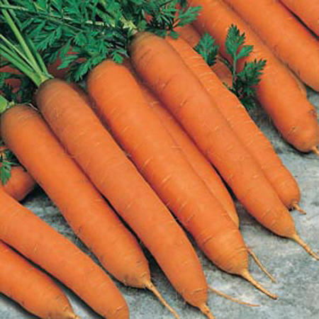 Семена моркови Красная без сердцевины белый пакет