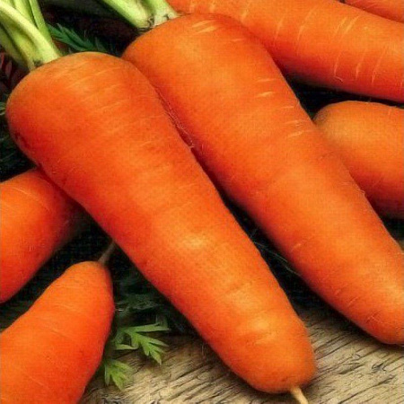 Семена моркови Шантане Роял белый пакет