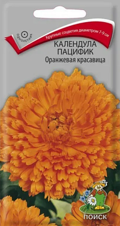 Семена календулы Оранжевая красавица 1гр/Поиск/