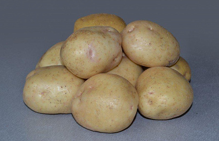Картофель семенной Невский 1-ая репродукция