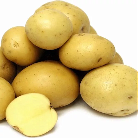 Семена картофеля Лада