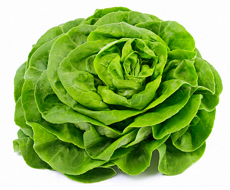 Семена салата Изумрудная зелень белый пакет