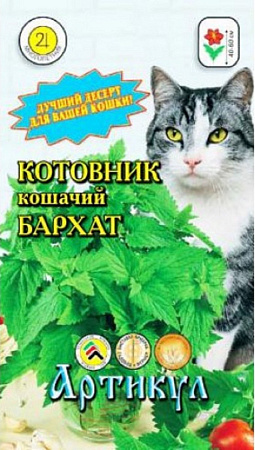 Семена котовника Кошачий Бархат